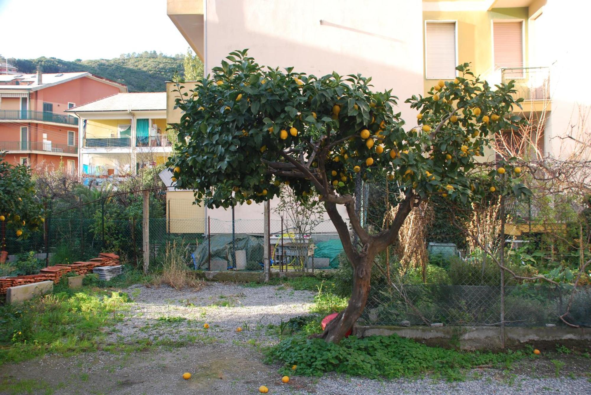 Tinetto Brezza Di Mare Apartment Deiva Marina Bagian luar foto
